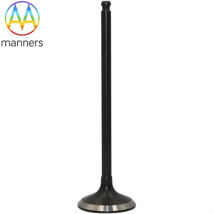 Titanium Intake Valve Parts
